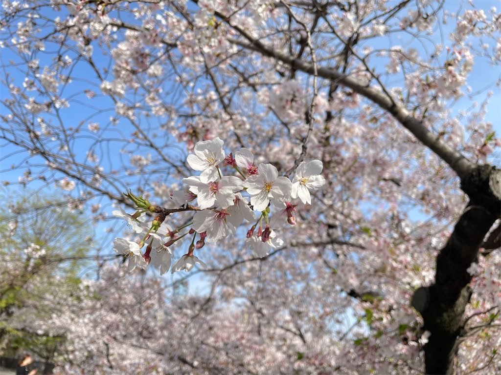 f:id:pakira2:20230401214116j:image f:id:pakira2:20230401214116j:image