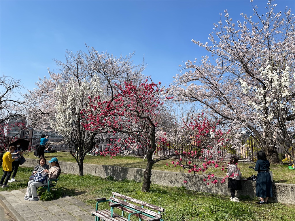 f:id:pakira2:20230401214130j:image f:id:pakira2:20230401214130j:image
