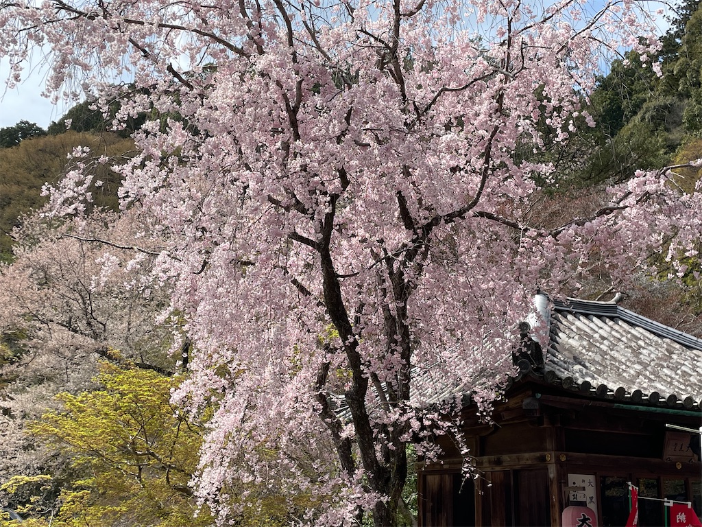 f:id:pakira2:20230402214815j:image f:id:pakira2:20230402214815j:image