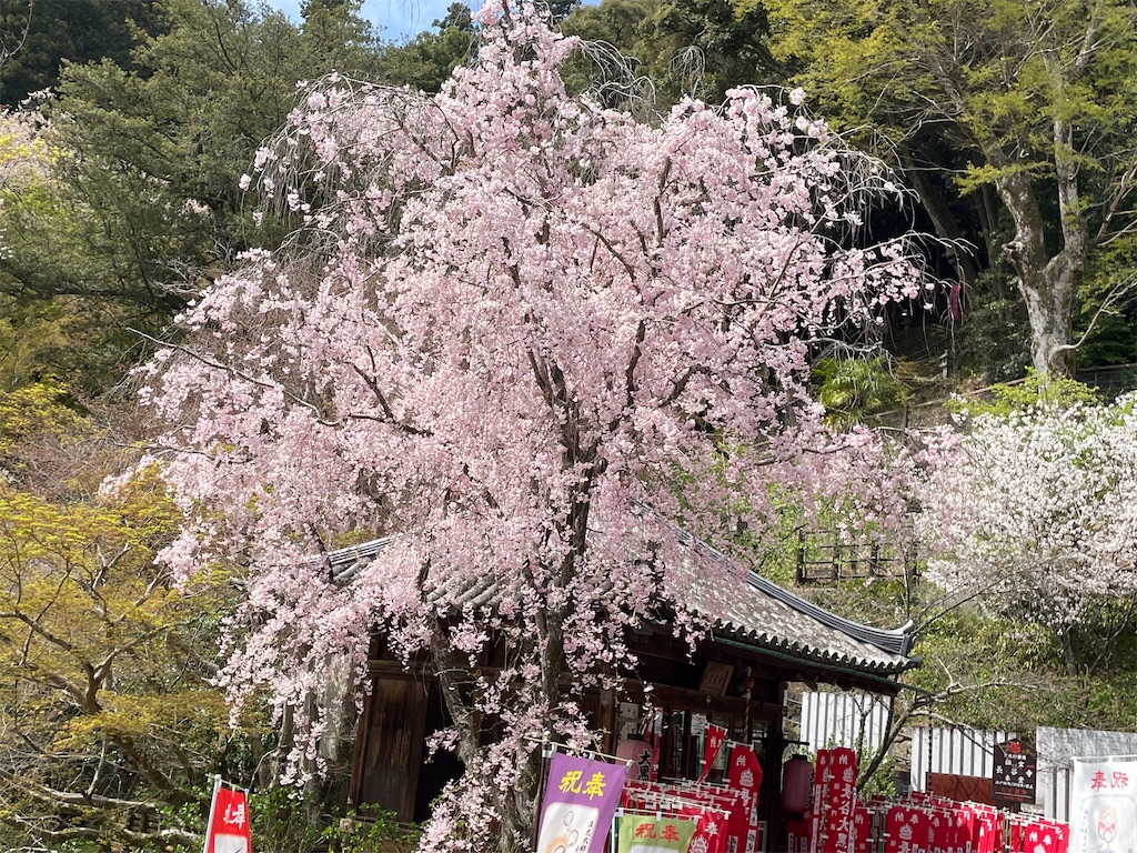 f:id:pakira2:20230402214821j:image f:id:pakira2:20230402214821j:image