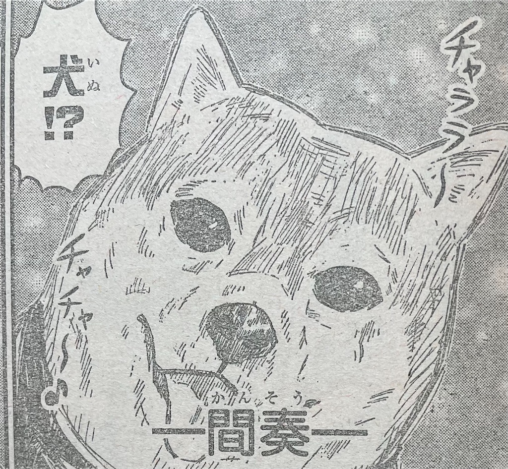 f:id:pakira2:20250714222337j:image