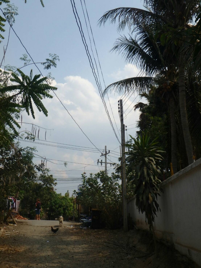 f:id:pakisann:20170312223913j:plain f:id:pakisann:20170312223913j:plain