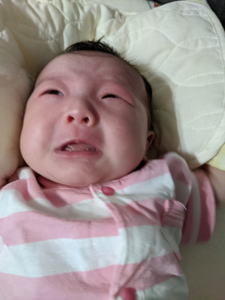 f:id:pakochan:20200812122942j:plain f:id:pakochan:20200812122942j:plain