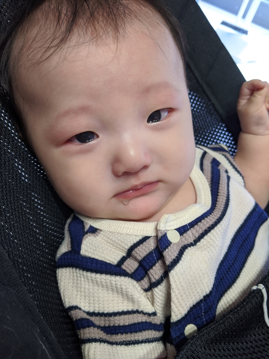 f:id:pakochan:20201014014614j:plain f:id:pakochan:20201014014614j:plain
