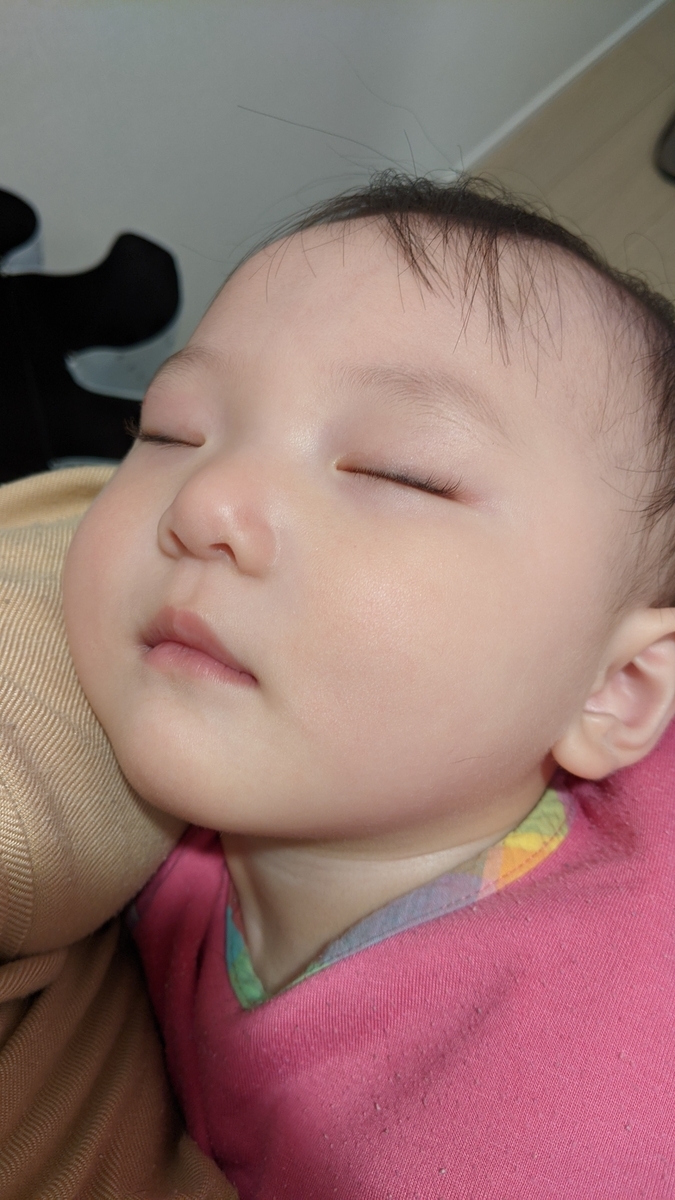 f:id:pakochan:20210416153456j:plain