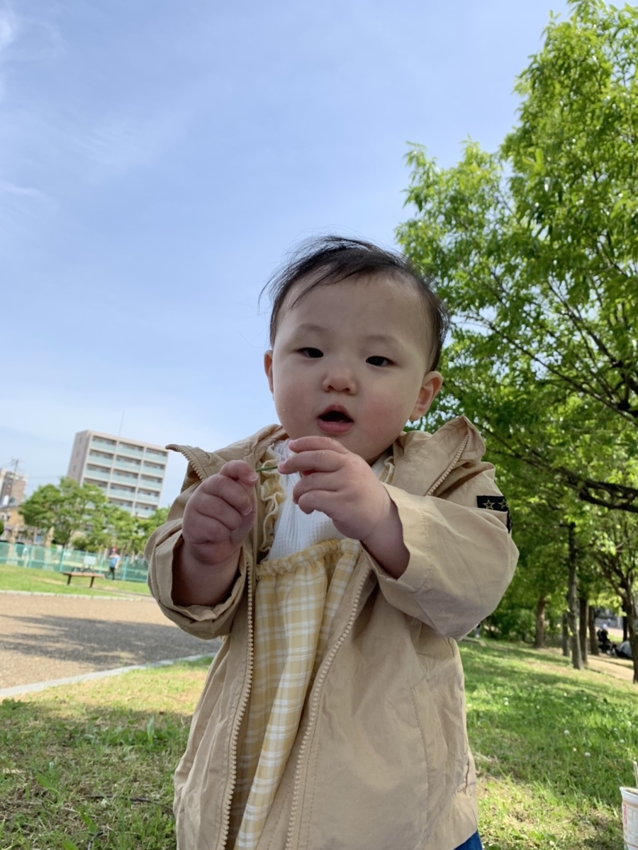 f:id:pakochan:20210505013003j:plain