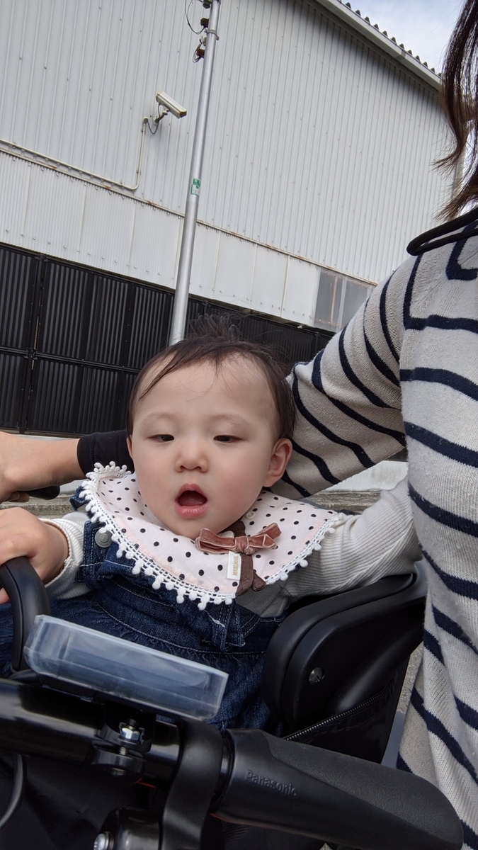 f:id:pakochan:20210523032524j:plain