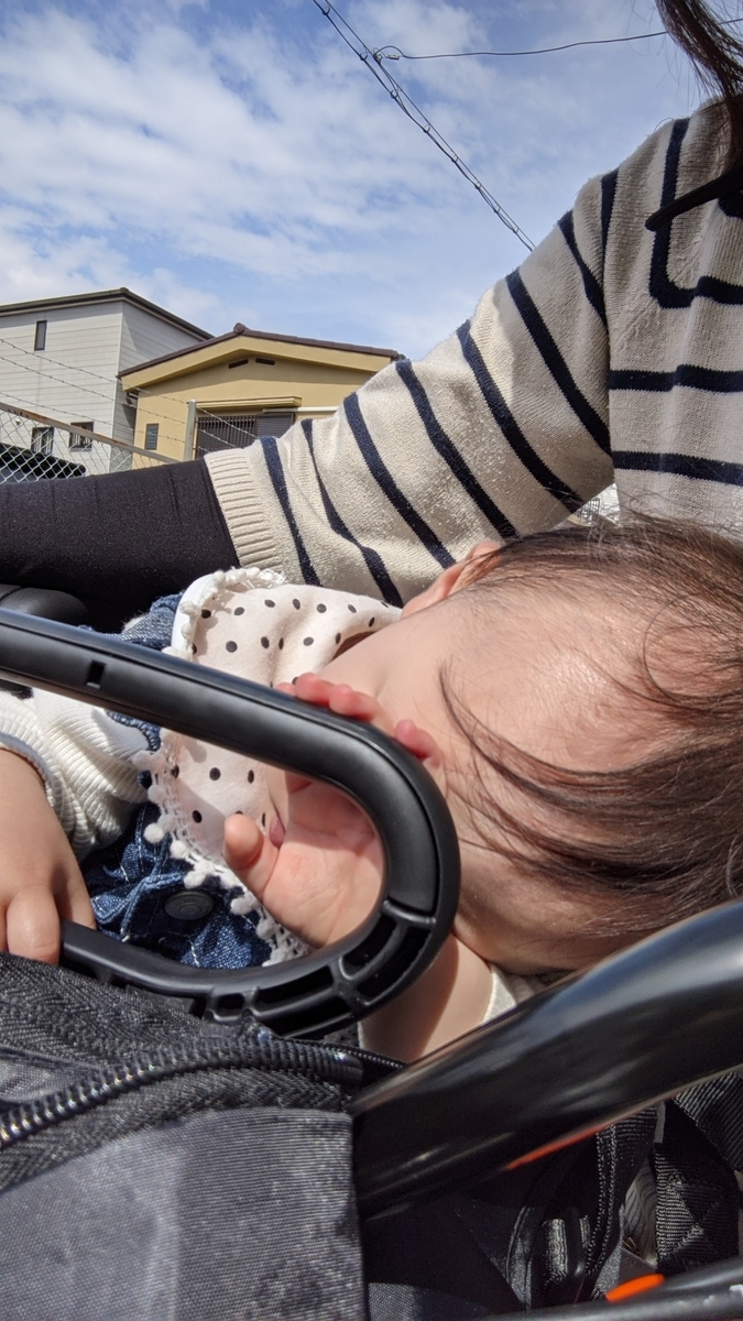 f:id:pakochan:20210523033050j:plain