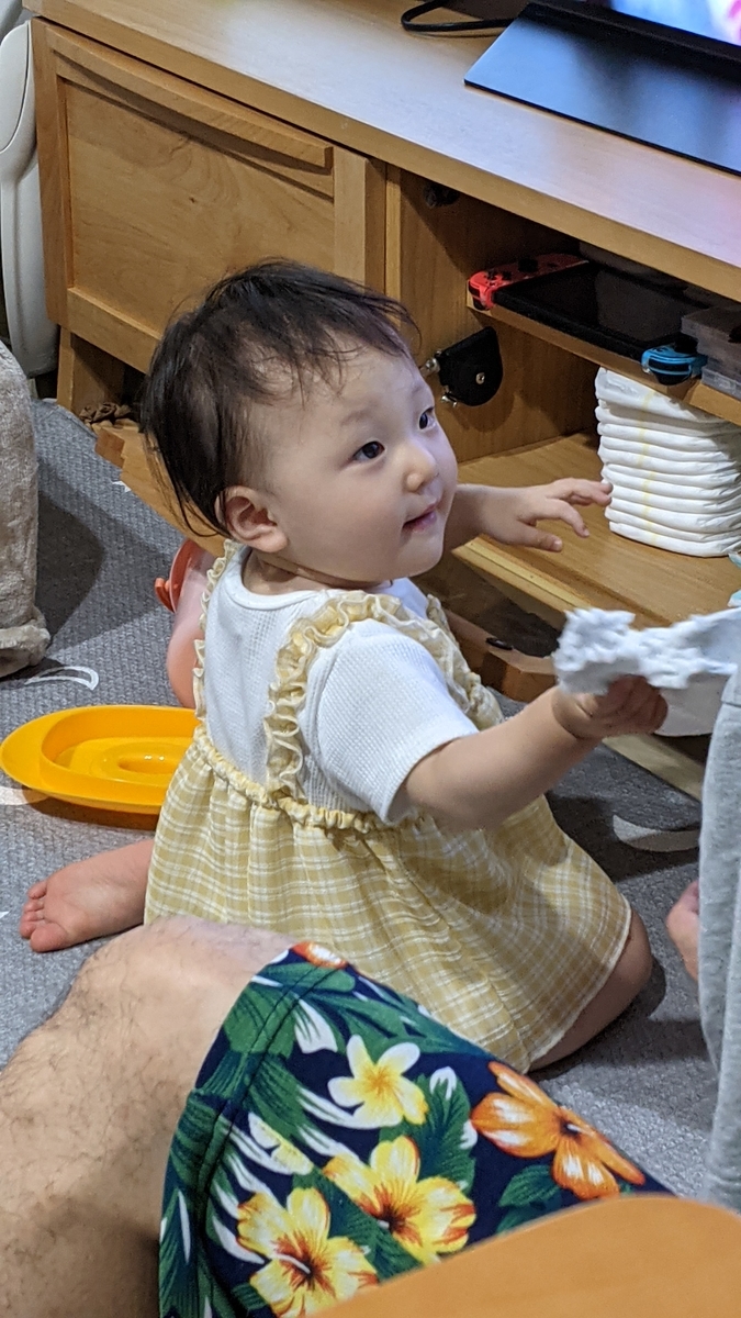 f:id:pakochan:20210823022405j:plain