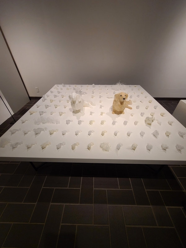 20250201235632