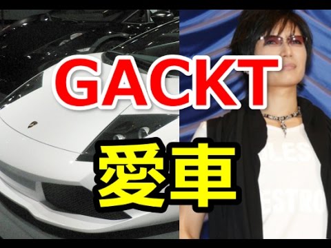 嬉し恥ずかし ブログって結構アレだね vsガクト編 フィリピン最後の楽園パラワン島 日常編 嬉し恥ずかし ブログって結構アレだね vsガクト編 フィリピン最後の楽園パラワン島 日常編
