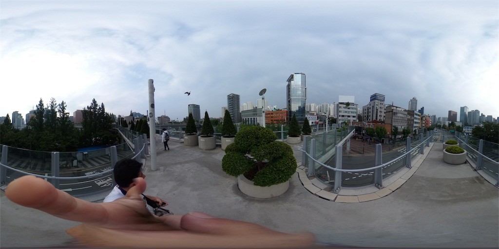 f:id:palca:20190902125057j:image f:id:palca:20190902125057j:image