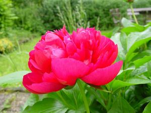 f:id:palcreyl:20170203215952j:plain f:id:palcreyl:20170203215952j:plain