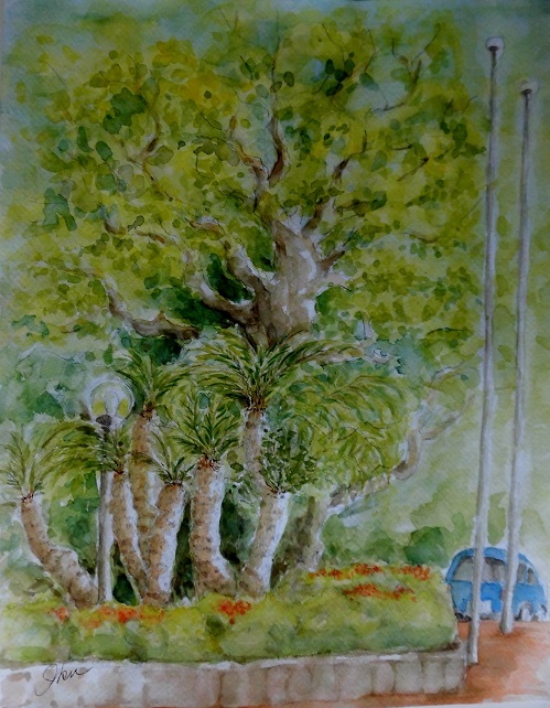 17年 4月 樹を描く ソテツと楠 The Fool On The Hillside