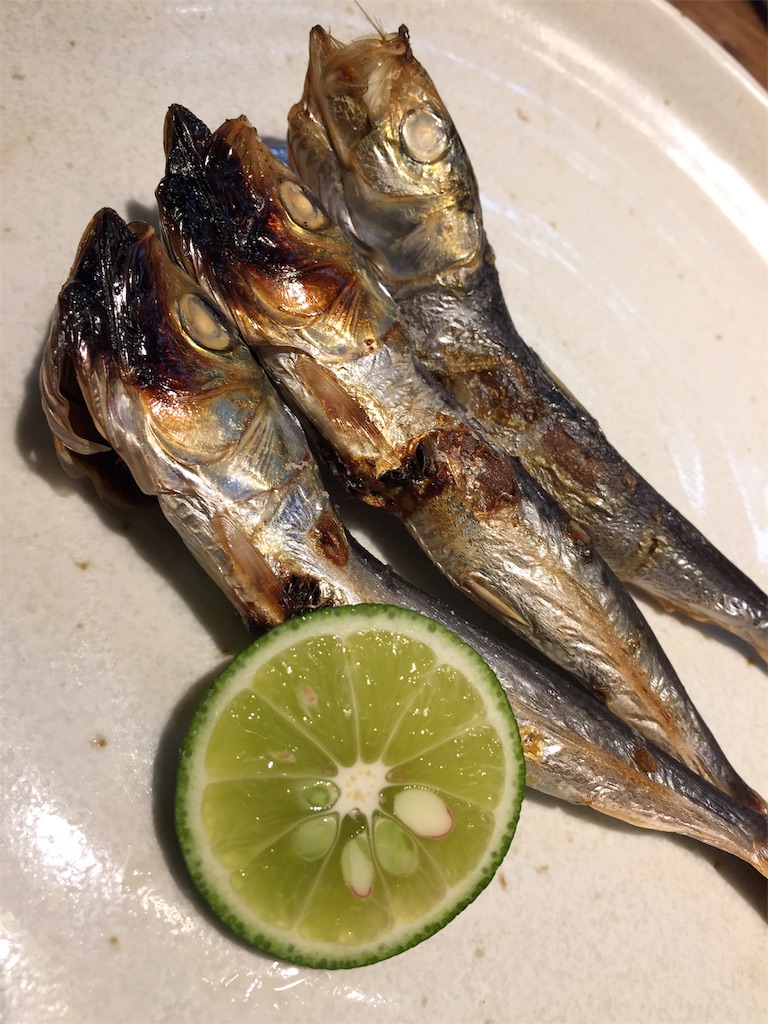 f:id:paleolife:20190616091147j:image f:id:paleolife:20190616091147j:image