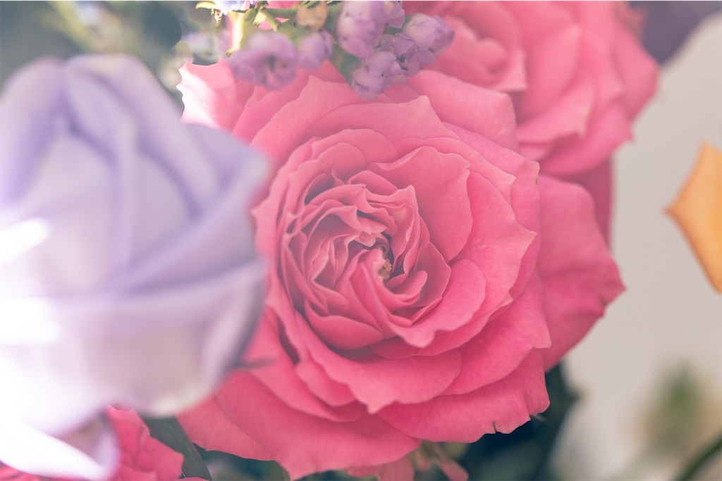 f:id:palette-color3:20190215214921j:image f:id:palette-color3:20190215214921j:image