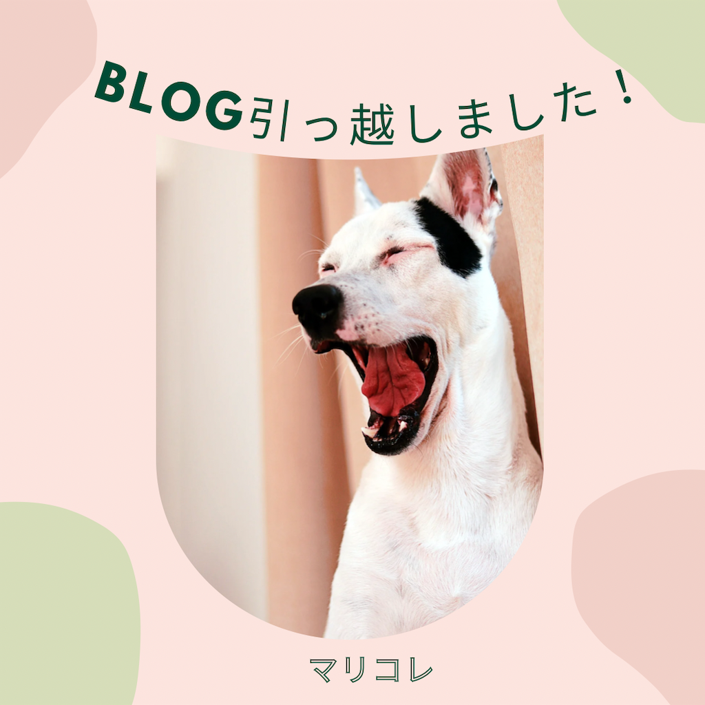 f:id:palette-color3:20220302172154p:image