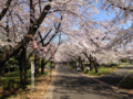20150401153532