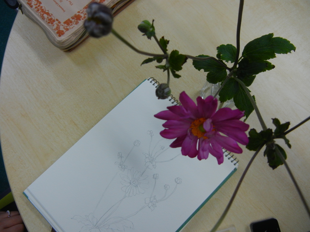 f:id:palhiroba:20171016151424j:plain
