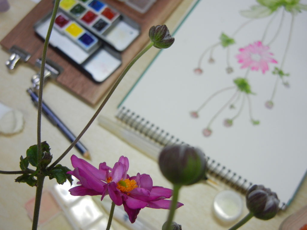 f:id:palhiroba:20171016153613j:plain