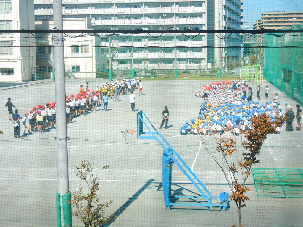 f:id:palhiroba:20181102164821j:plain f:id:palhiroba:20181102164821j:plain