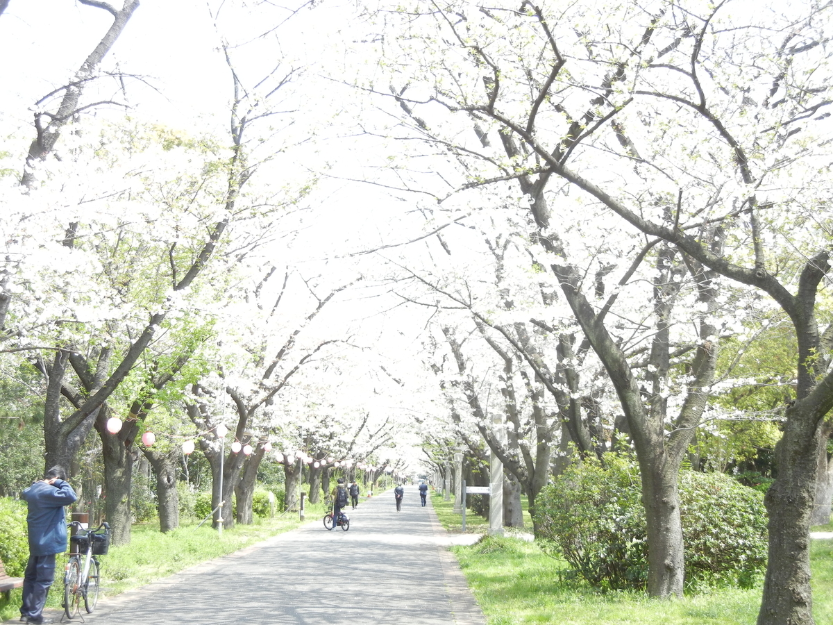 f:id:palhiroba:20200403134729j:plain