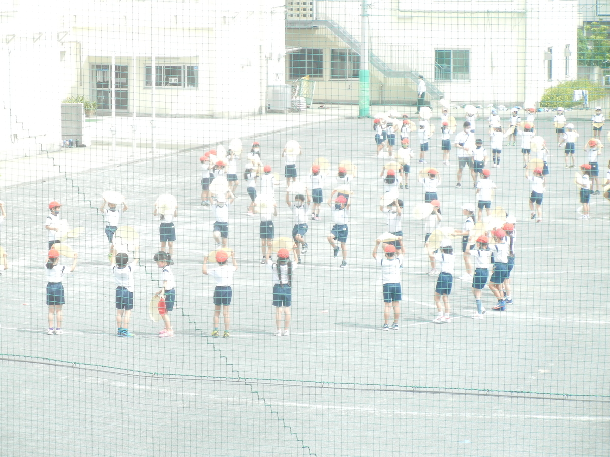 f:id:palhiroba:20210528110755j:plain