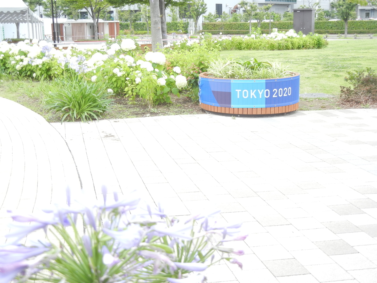 f:id:palhiroba:20210622151218j:plain