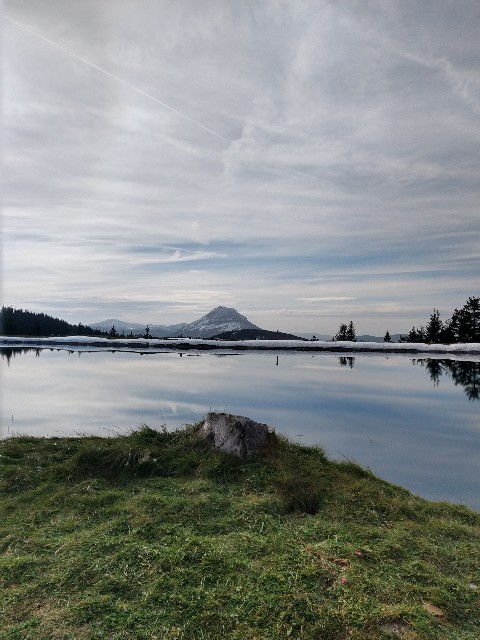 f:id:palinka:20201121204023j:image