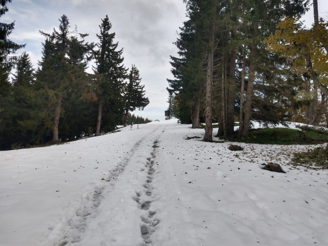 f:id:palinka:20201121204753j:image