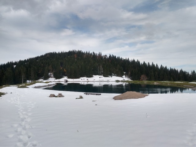 f:id:palinka:20201121204812j:image