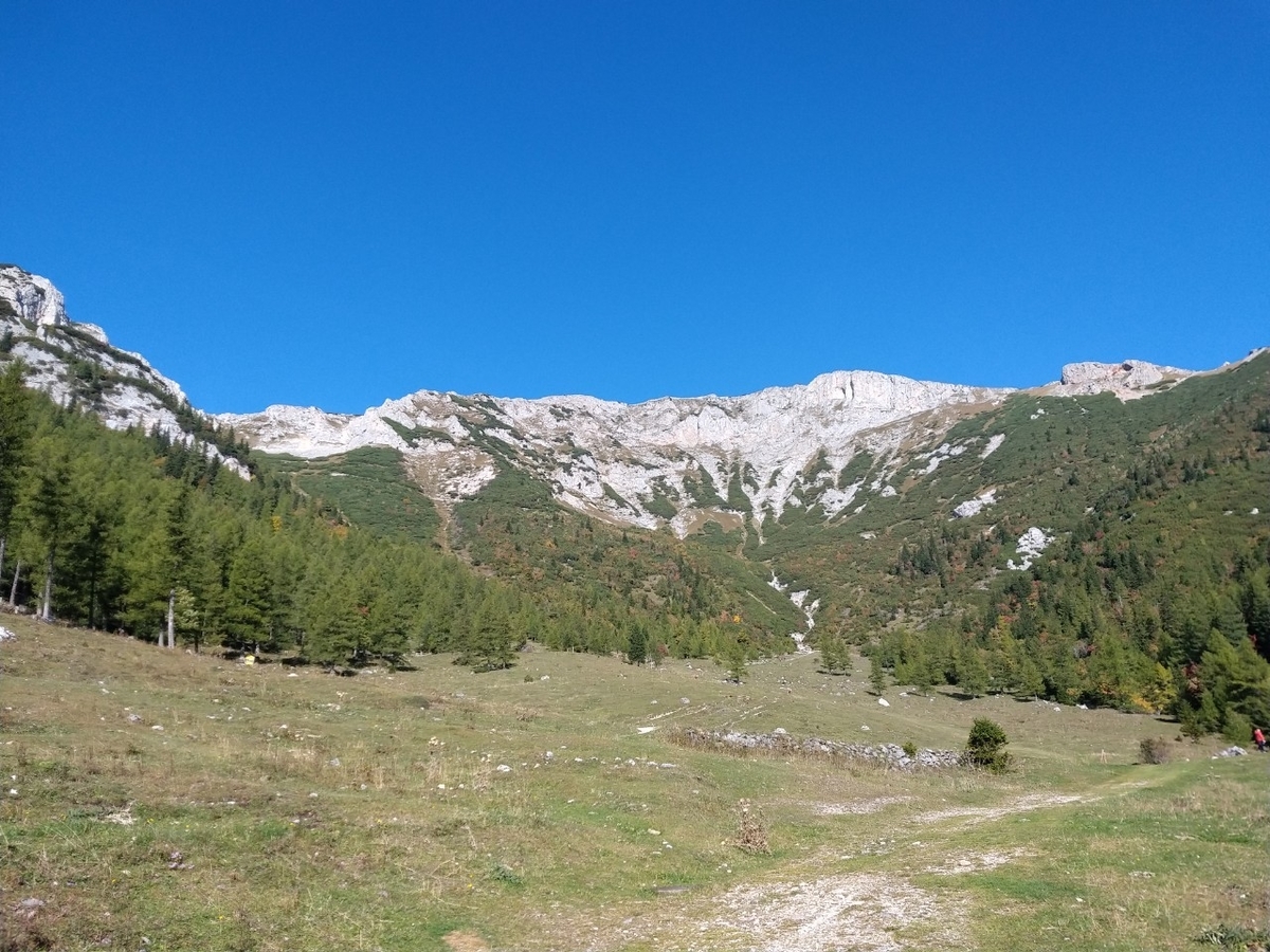 f:id:palinka:20211027171410j:plain