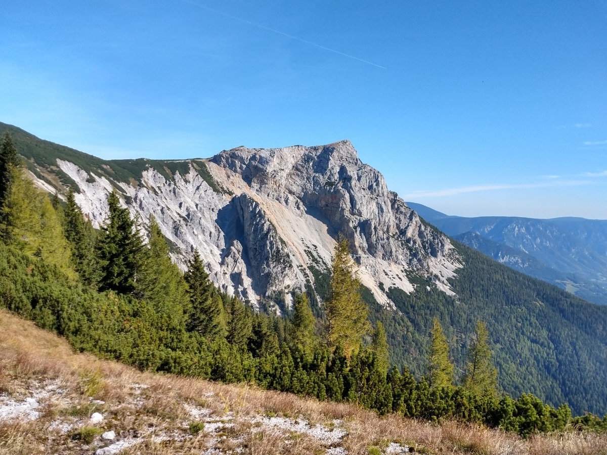 f:id:palinka:20211027172515j:plain