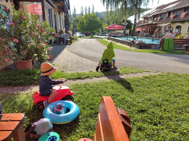 f:id:palinka:20241225044603j:image f:id:palinka:20241225044603j:image