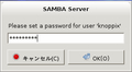 08-start_samba_server03