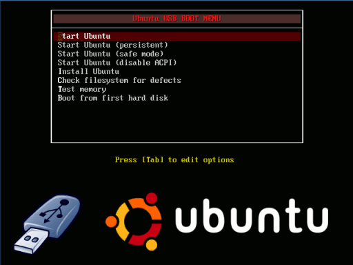 13-live_usb_install_boot_ubuntu