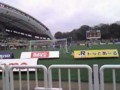 レベスタ