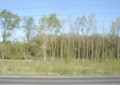 20120726124956