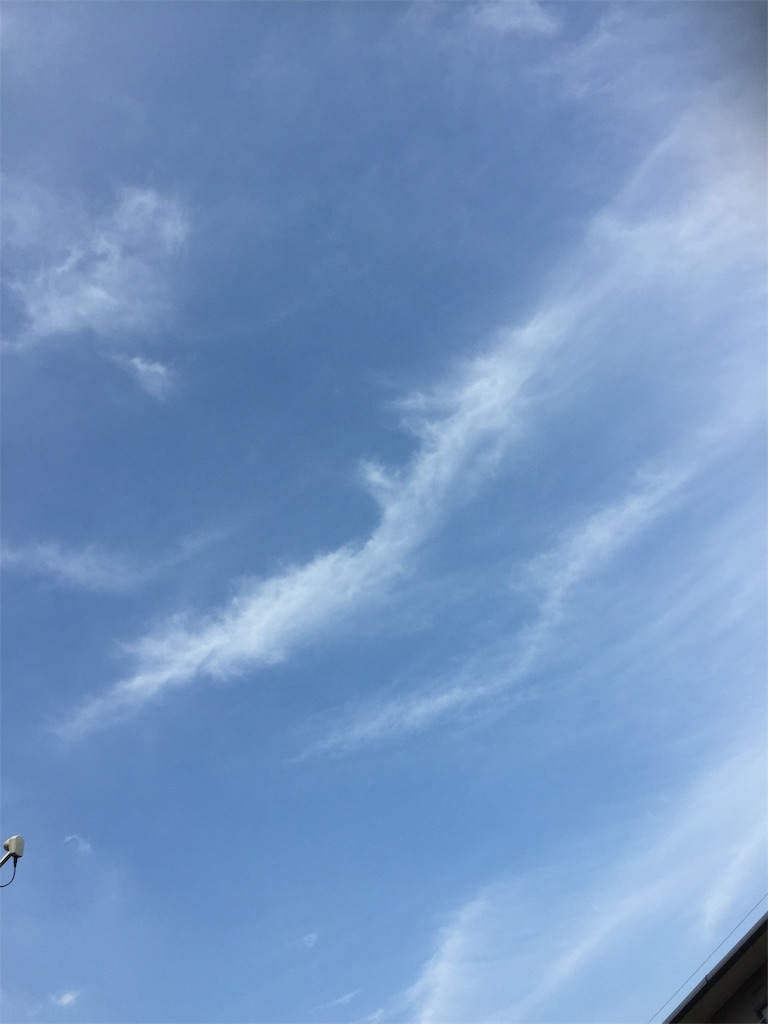 f:id:palura555888:20190601224901j:image f:id:palura555888:20190601224901j:image