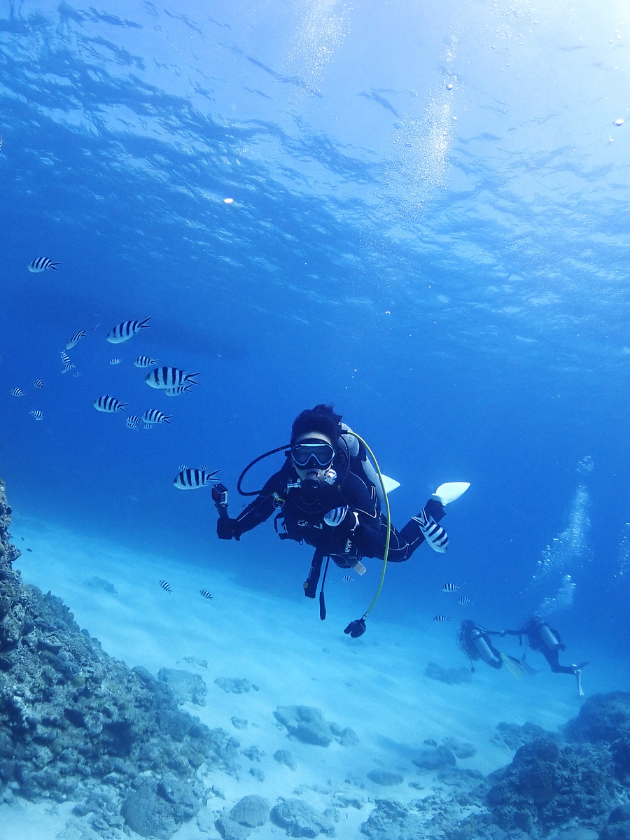 到着日から透明度抜群の海へ 沖縄那覇少人数ダイビングショップ 慶良間や沖縄本島ダイビングなら 少人数ダイビングライセンスショップ パルウェーブ 那覇