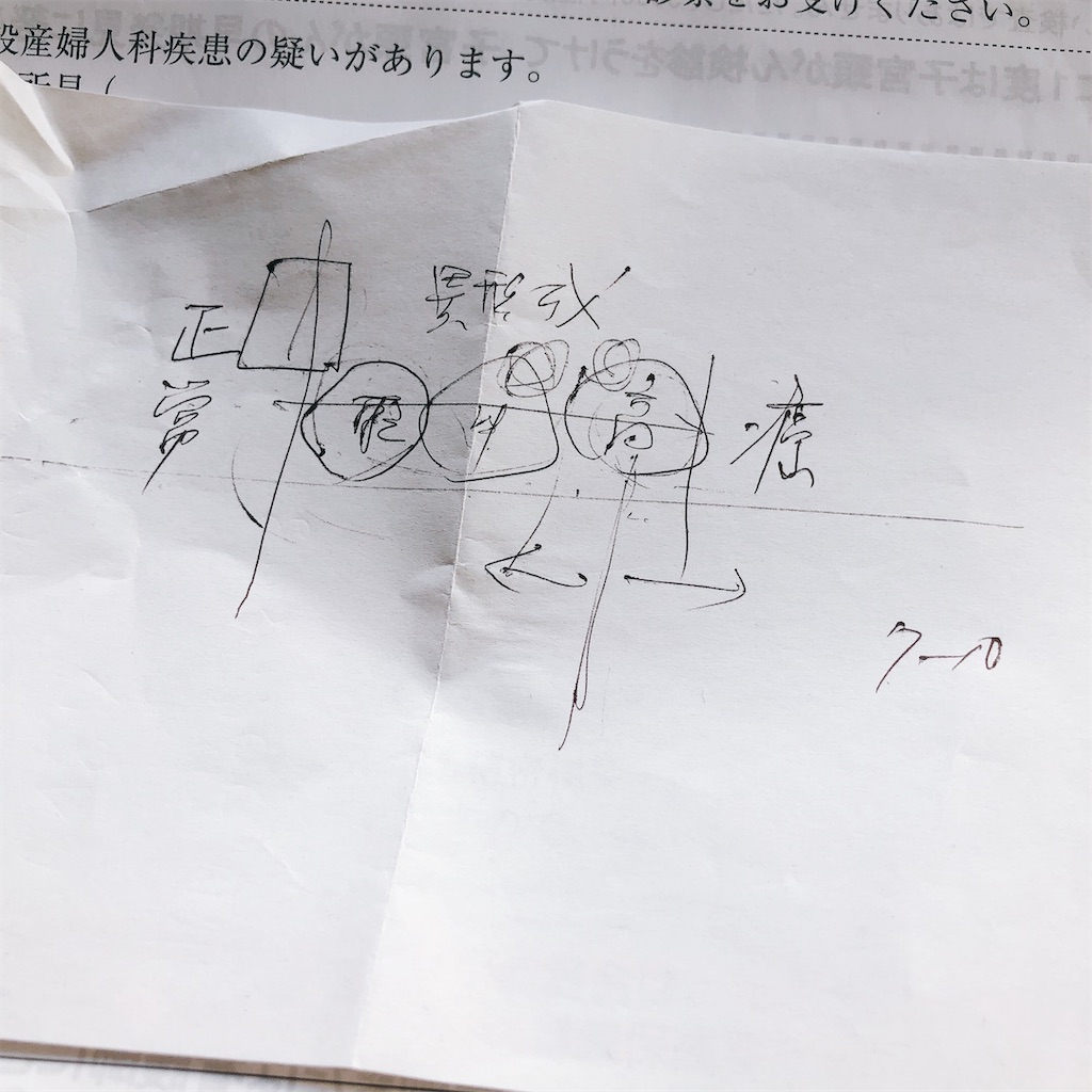 f:id:pan-wine-pan:20200210153533j:image f:id:pan-wine-pan:20200210153533j:image