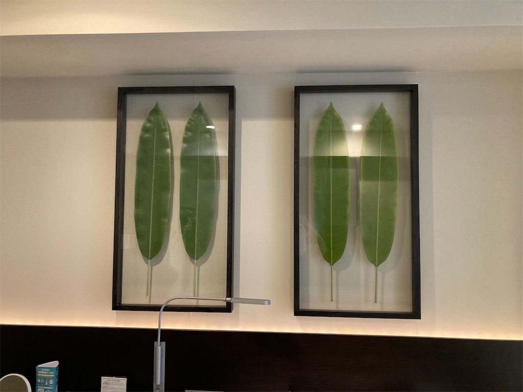 f:id:pan_mimi:20230902122103j:image f:id:pan_mimi:20230902122103j:image