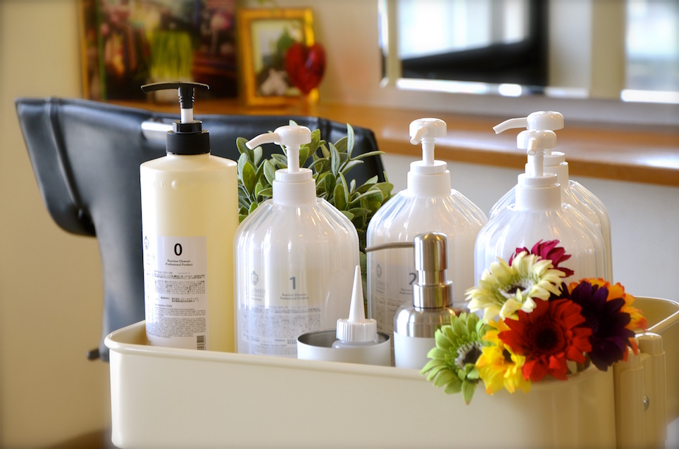 サロントリートメント レルミス 本日より Panache Blog