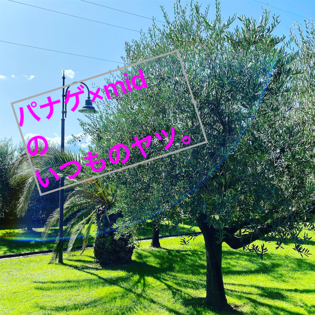 f:id:panage-mid:20201021191001p:image