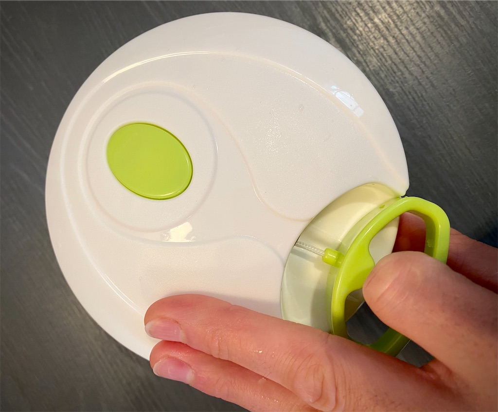 f:id:panage-mid:20210102171806j:image