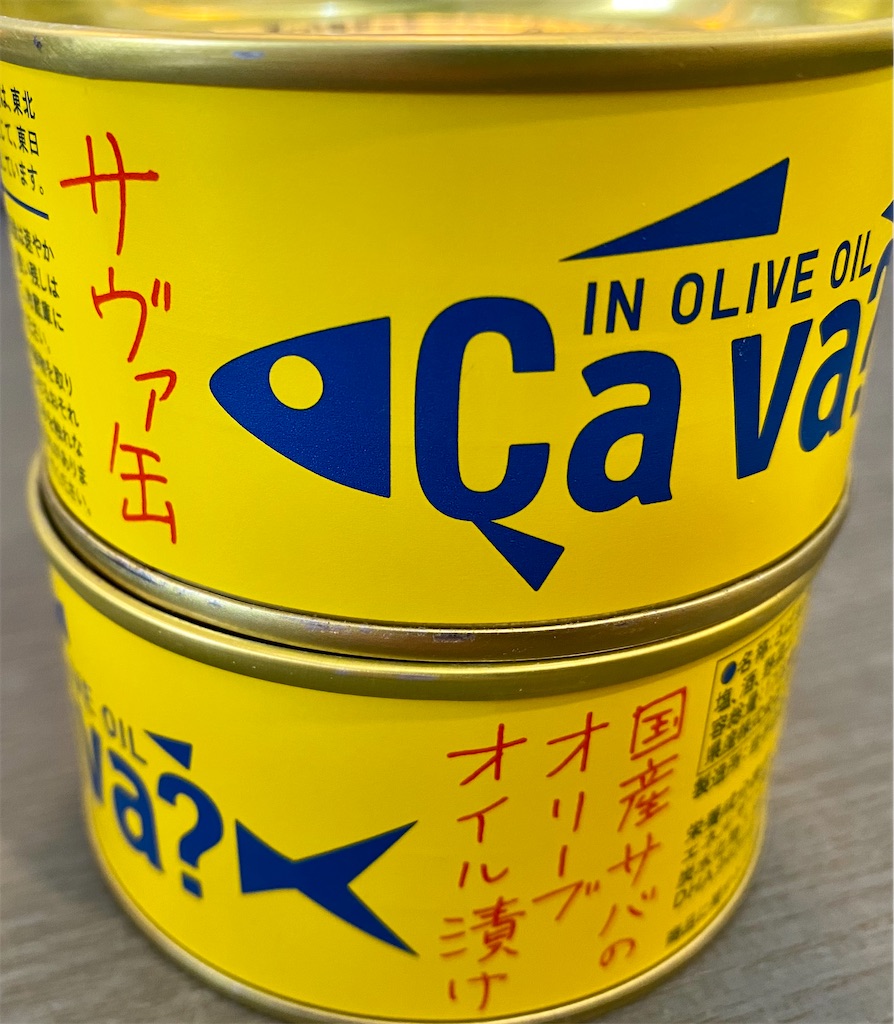 f:id:panage-mid:20210126225616j:image