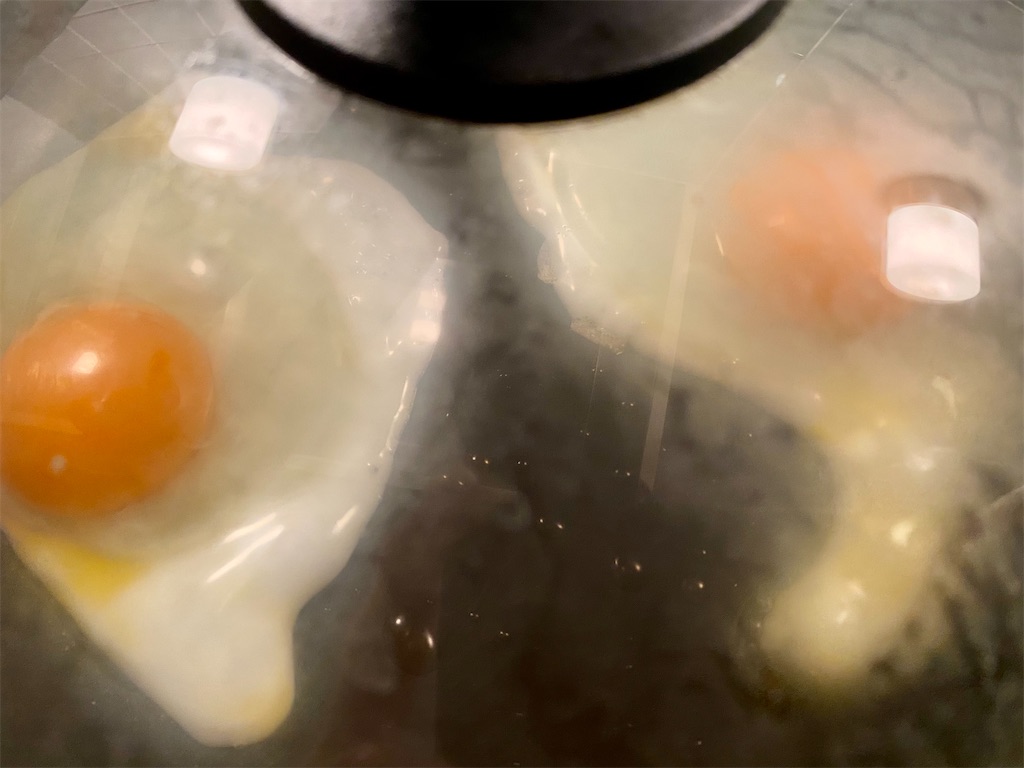 f:id:panage-mid:20210520211026j:image