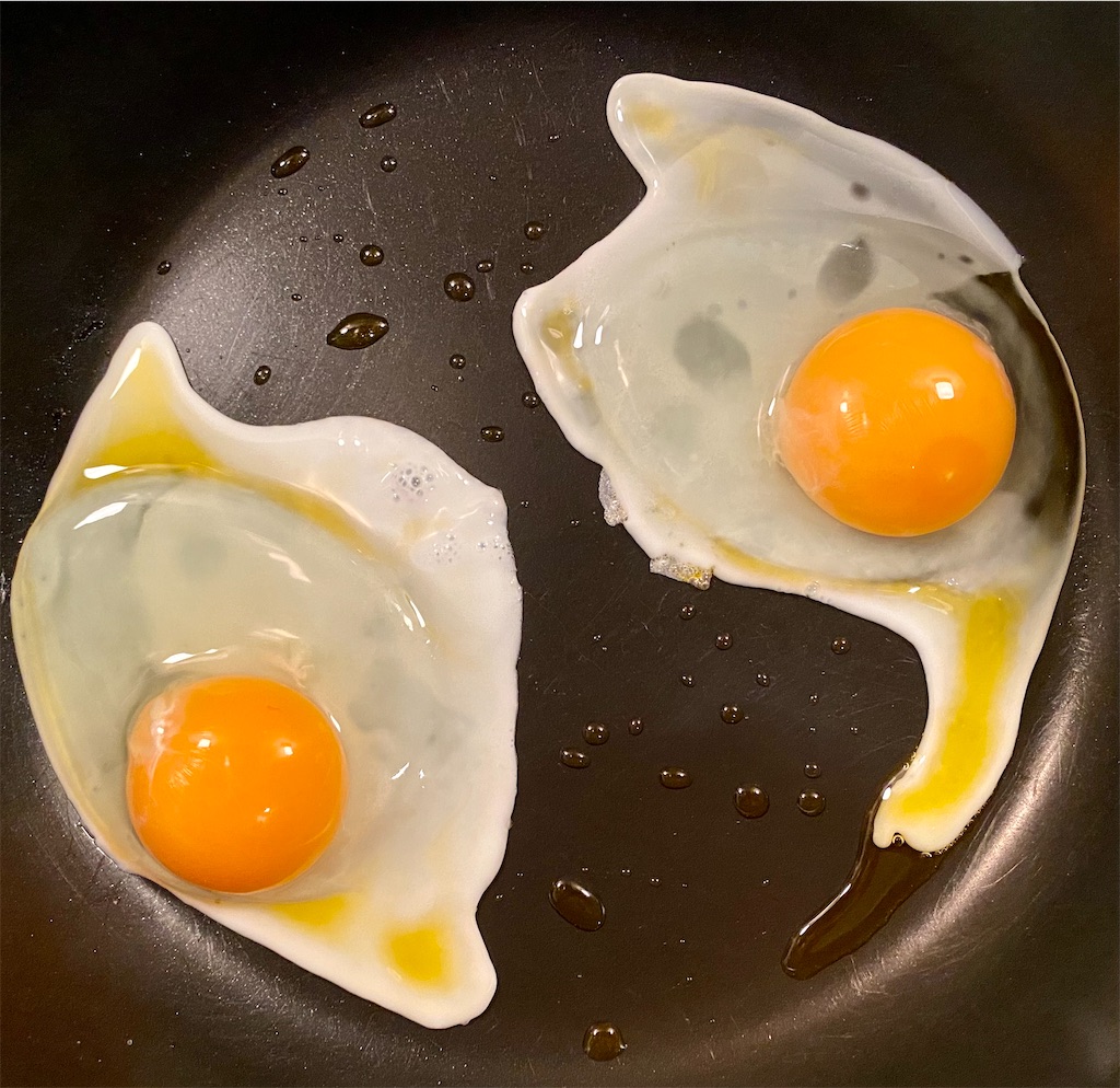 f:id:panage-mid:20210520211051j:image