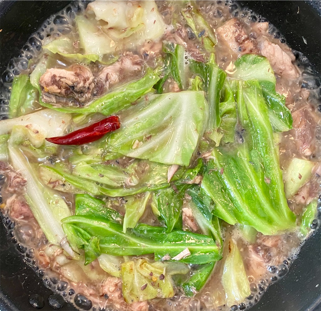 f:id:panage-mid:20210531234346j:image