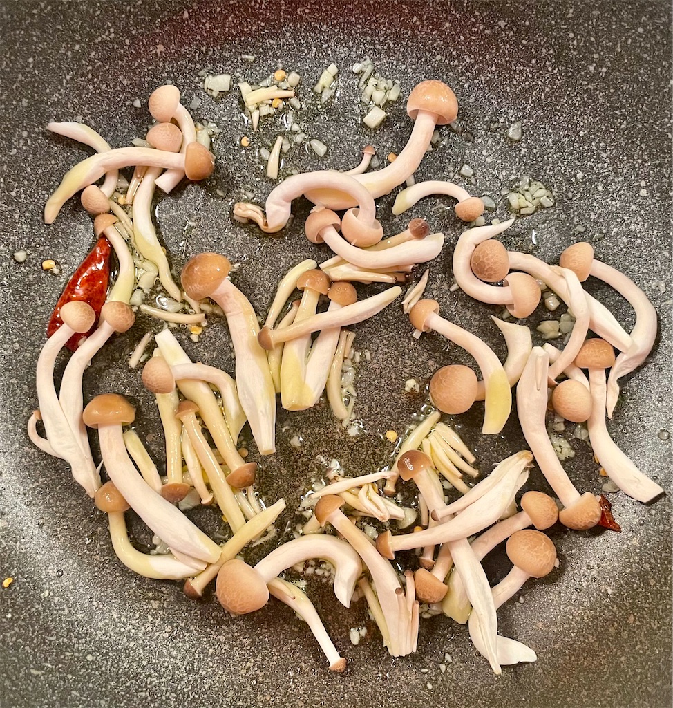 f:id:panage-mid:20240108223939j:image